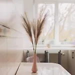 Perfect Cipariu Appartement