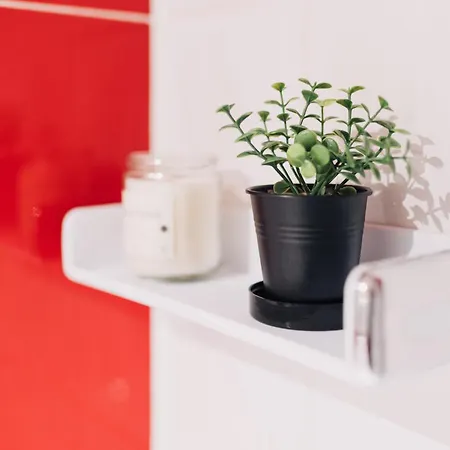 Perfect Cipariu דירה קלוז'-נאפוקה