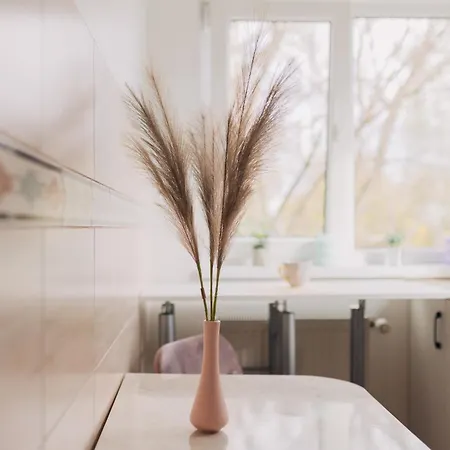 Perfect Cipariu Apartment