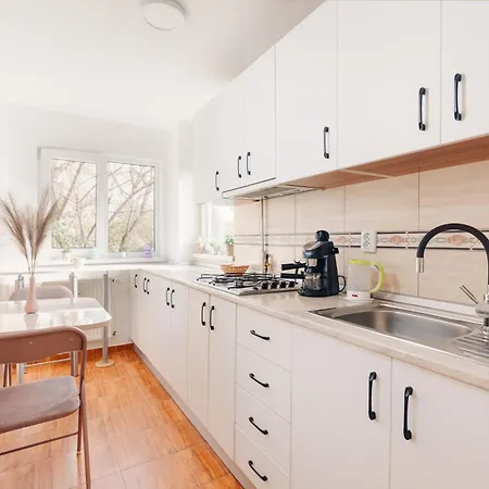 Perfect Cipariu Apartment