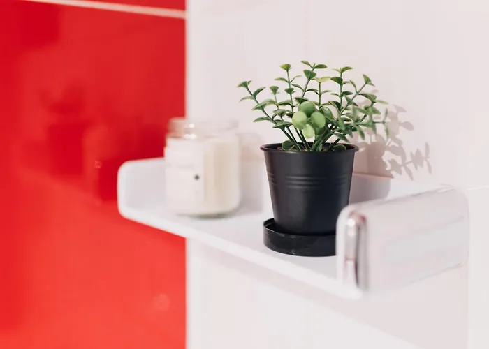 Perfect Cipariu Lägenhet Cluj-Napoca