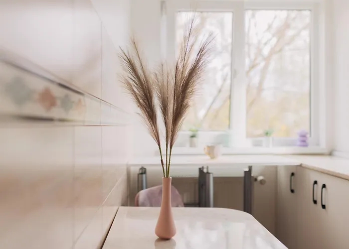 Perfect Cipariu Apartmán