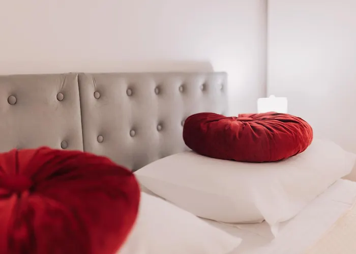 Perfect Cipariu * קלוז'-נאפוקה